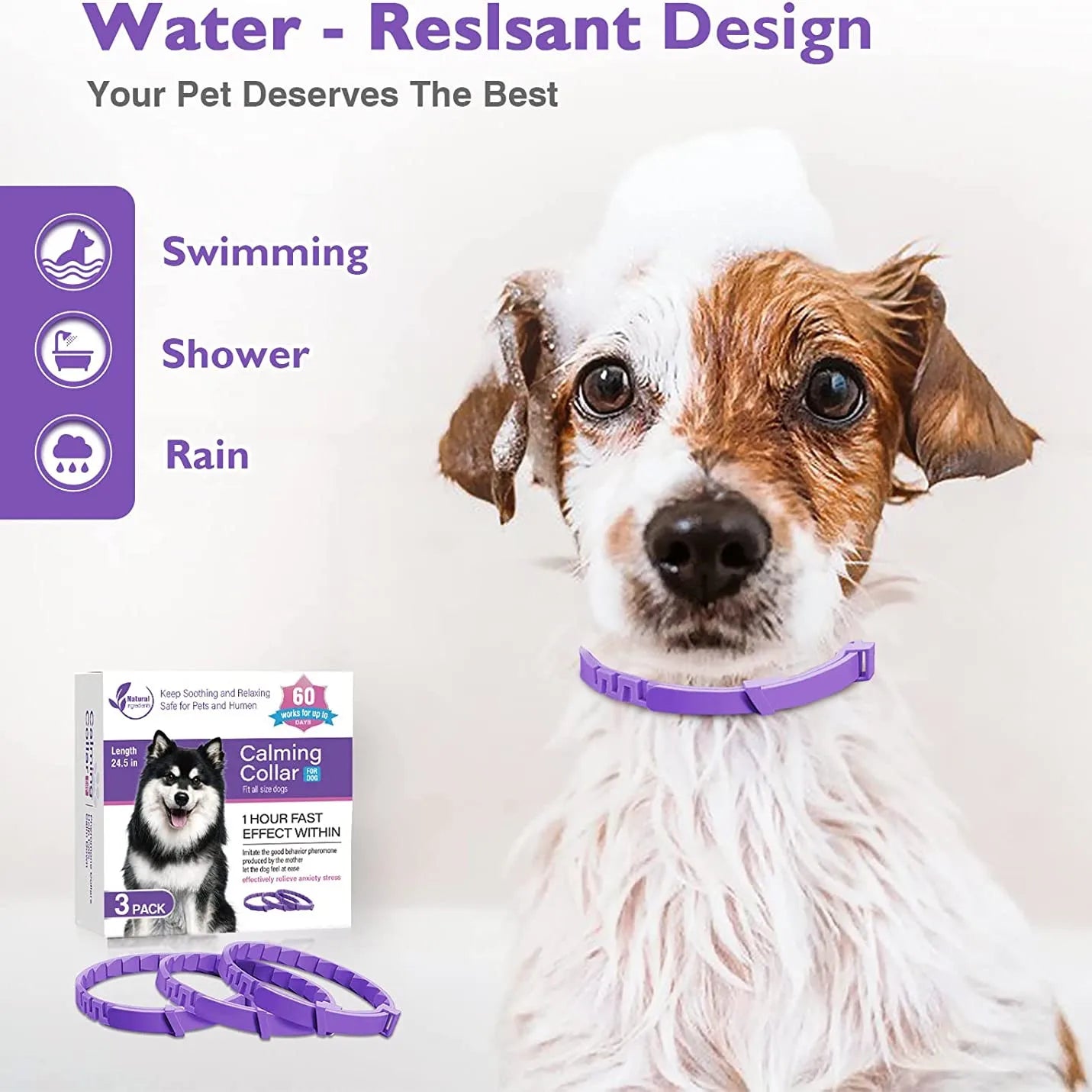 Soothing Pet Comfort Collar