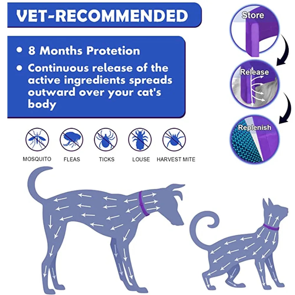Soothing Pet Comfort Collar